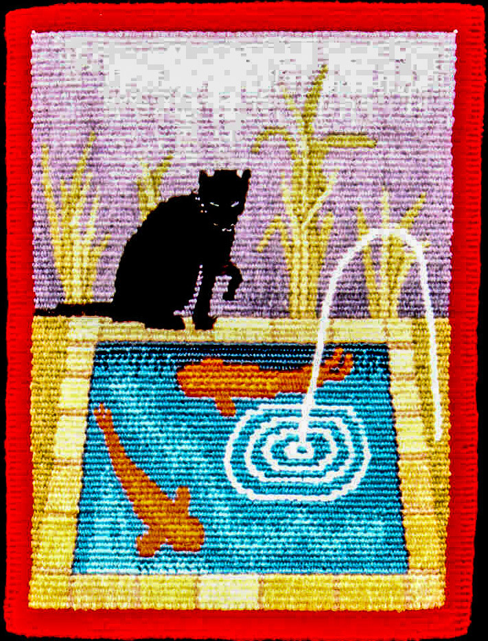black cat fishing